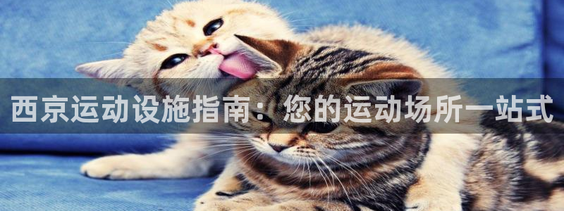 意昂3娱乐是那个系列的台子：西京运动设施指南：您的运