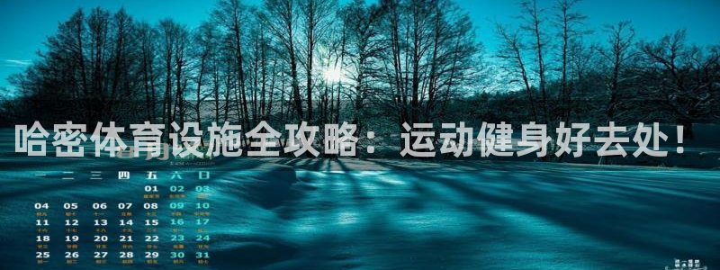 意昂3新能源：哈密体育设施全攻略：运动健身好去处！