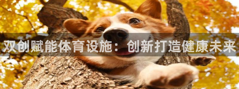 意昂体育3招商电话号码查询是多少：双创赋能体育设施：