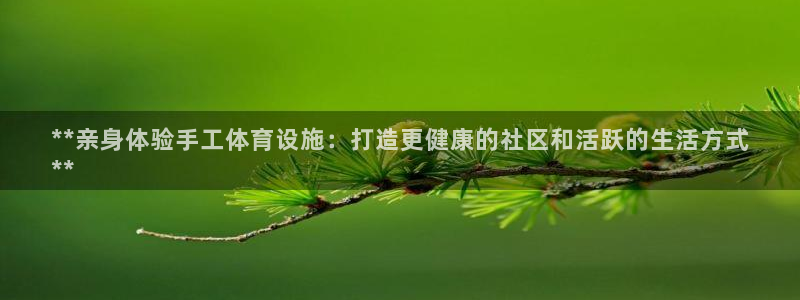 意昂3集团官网首页网址：**亲身体验手工体育设施：打