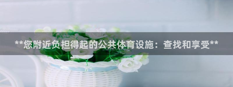 意昂3科技：**您附近负担得起的公共体育设施：查找和