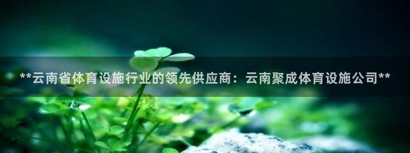 意昂3集团：**云南省体育设施行业的领先供应商：云南