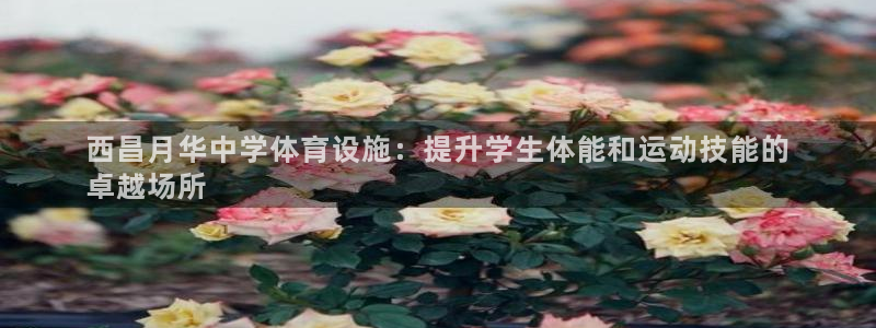 意昂体育3招商电话地址：西昌月华中学体育设施：提升学