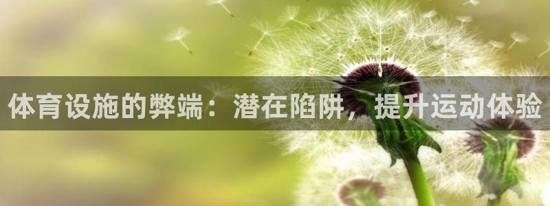 意昂3娱乐代理怎么样：体育设施的弊端：潜在陷阱，提升