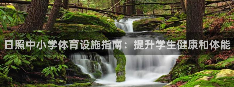 意昂3集团E.ON：日照中小学体育设施指南：提升学生
