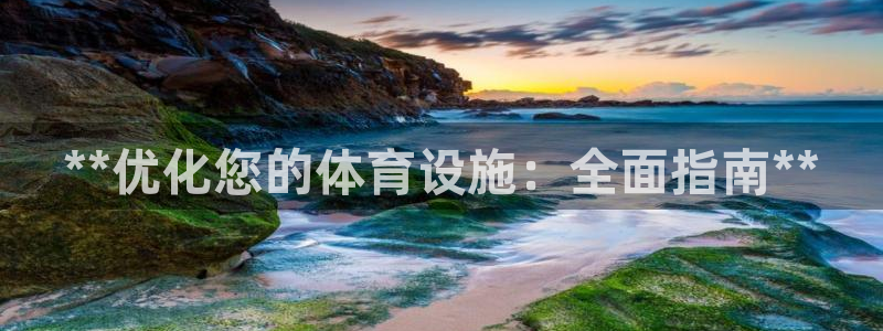 意昂3娱乐首页网站大全：**优化您的体育设施：全面指