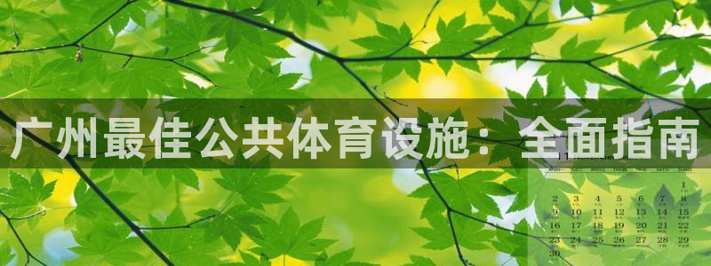 意昂3集团：广州最佳公共体育设施：全面指南