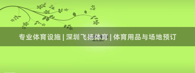 意昂体育3平台注册流程视频：专业体育设施 | 深圳飞