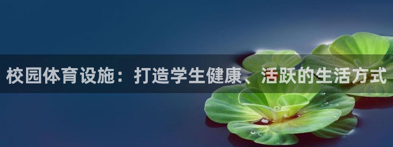 意昂体育3平台是正规平台吗：校园体育设施：打造学生健