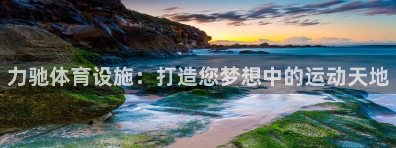 德国意昂3集团：力驰体育设施：打造您梦想中的运动天地