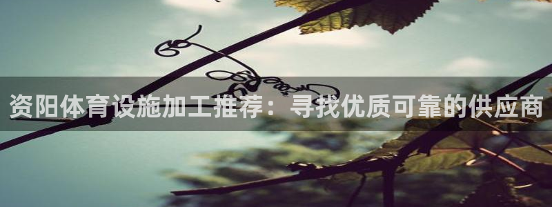 意昂3集团官网首页：资阳体育设施加工推荐：寻找优质可
