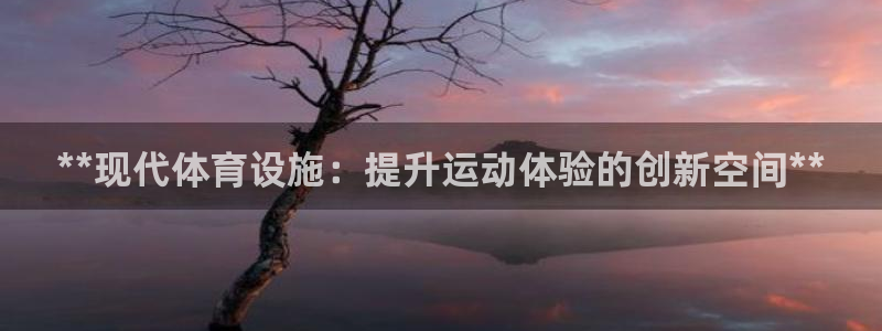 德国意昂3集团：**现代体育设施：提升运动体验的创新