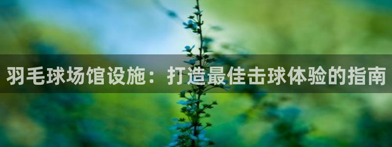 海南意昂体育3发展怎么样