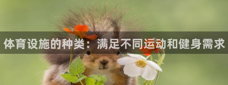 意昂3集团官网首页网址：体育设施的种类：满足不同运动