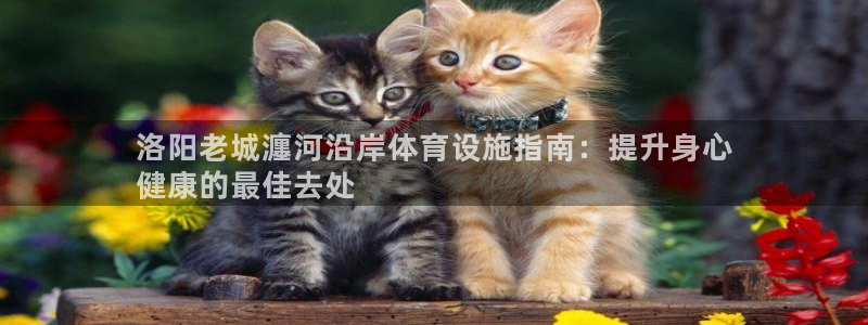意昂3娱乐平台：洛阳老城瀍河沿岸体育设施指南：提升身