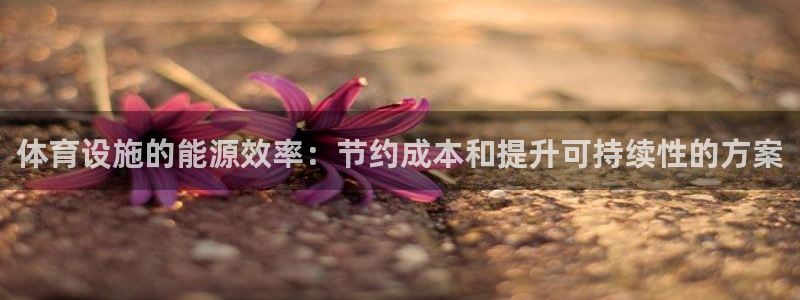 意昂3娱乐平台：体育设施的能源效率：节约成本和提升可