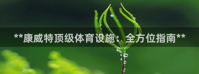 意昂3官方：**康威特顶级体育设施：全方位指南**