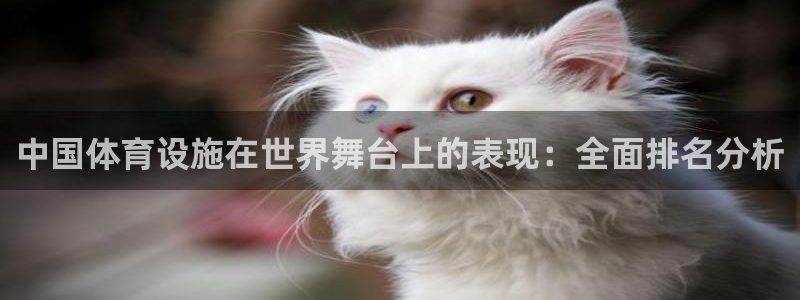 意昂3神州：中国体育设施在世界舞台上的表现：全面排名