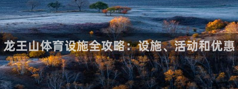 意昂集团官网