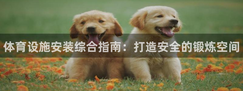 意昂3娱乐平台：体育设施安装综合指南：打造安全的锻炼