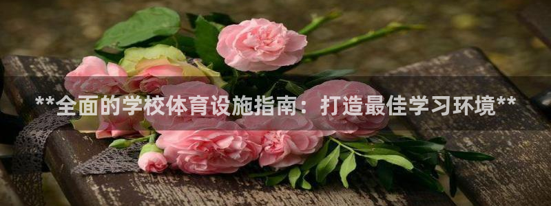 意昂体育3平台注册要钱吗：**全面的学校体育设施指南