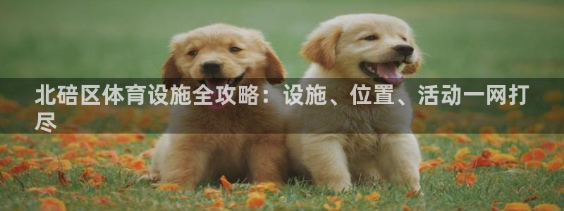 意昂平台体育：北碚区体育设施全攻略：设施、位置、活动