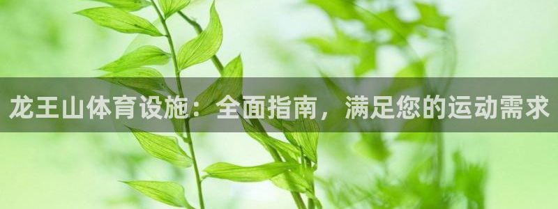 意昂3娱乐：龙王山体育设施：全面指南，满足您的运动需