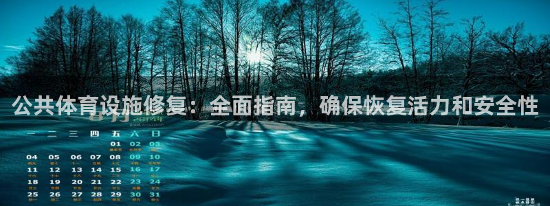 德国意昂3集团：公共体育设施修复：全面指南，确保恢复