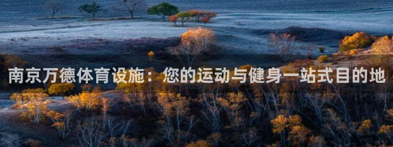 意昂3娱乐首页网站大全：南京万德体育设施：您的运动与