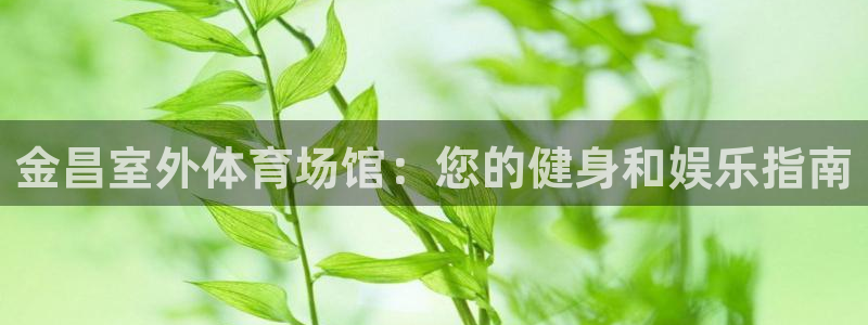 意昂体育3招商电话：金昌室外体育场馆：您的健身和娱乐