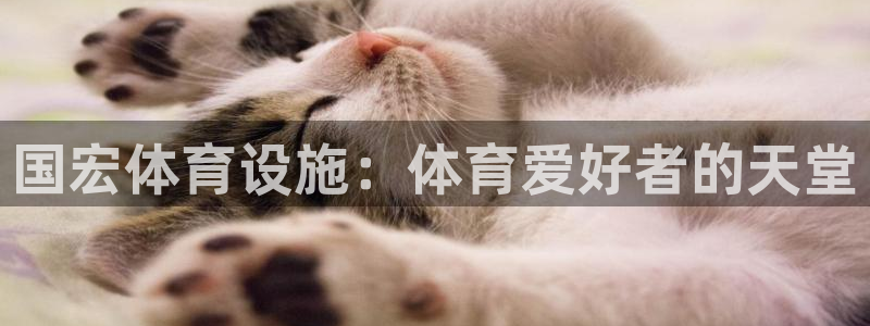 海南意昂体育3：国宏体育设施：体育爱好者的天堂