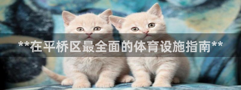 意昂3集团官网首页网址：**在平桥区最全面的体育设施