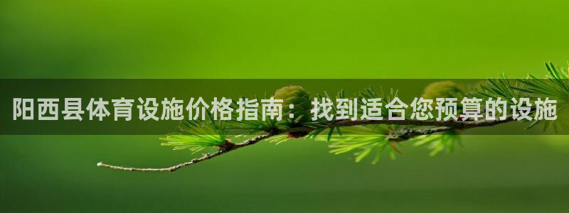 意昂3代理：阳西县体育设施价格指南：找到适合您预算的