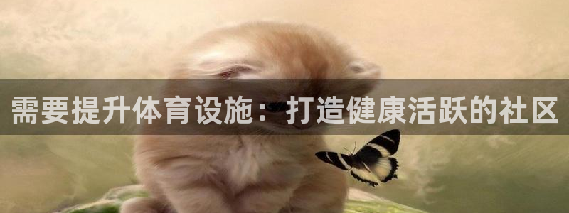 注册意昂3：需要提升体育设施：打造健康活跃的社区