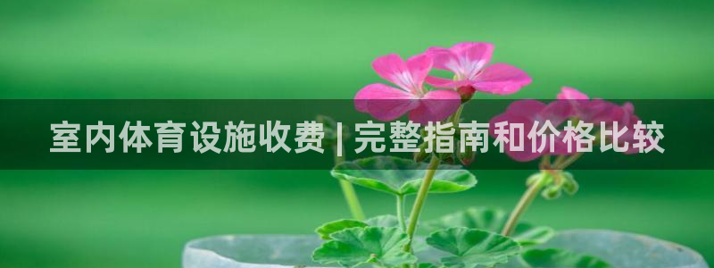 意昂体育3招商电话是多少啊：室内体育设施收费 | 完