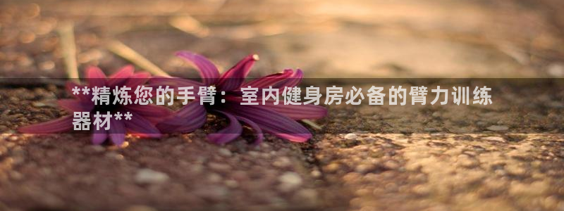 意昂3五金厂：**精炼您的手臂：室内健身房必备的臂力