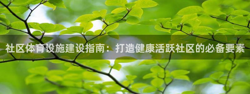 意昂3娱乐是那个系列的台子：社区体育设施建设指南：打