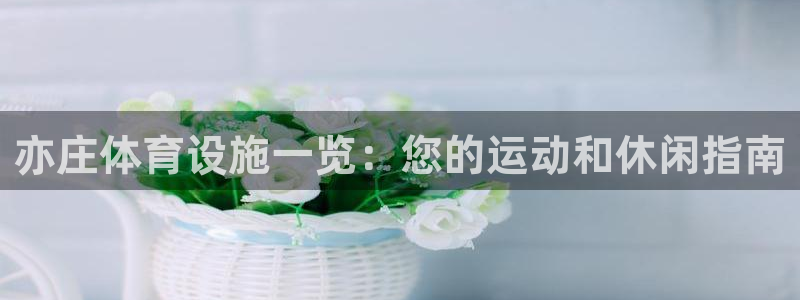 海南意昂体育3：亦庄体育设施一览：您的运动和休闲指南