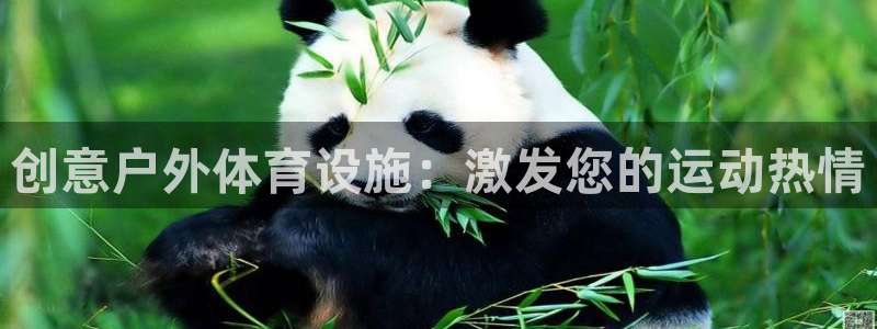 意昂体育3招商电话是多少号码：创意户外体育设施：激发