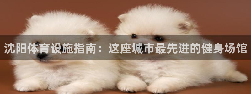 意昂体育3招商电话号码是多少号：沈阳体育设施指南：这