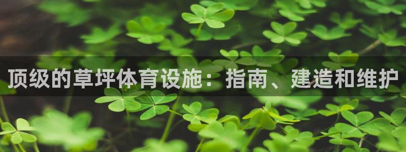 意昂体育3软件：顶级的草坪体育设施：指南、建造和维护
