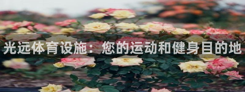 意昂体育3开户：光远体育设施：您的运动和健身目的地