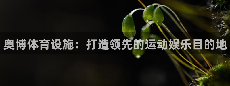 意昂3娱乐下载：奥博体育设施：打造领先的运动娱乐目的