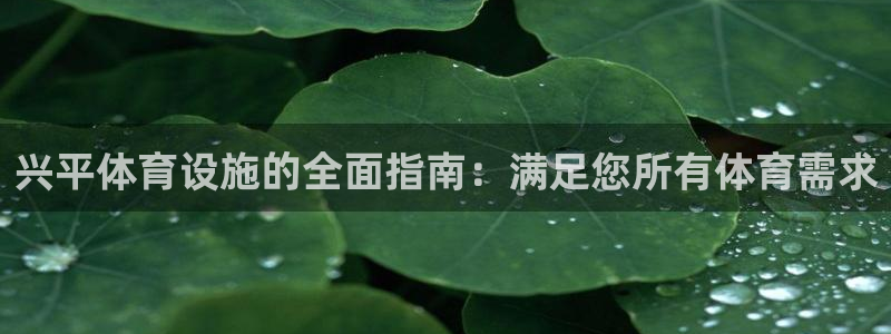 意昂3集团E.ON：兴平体育设施的全面指南：满足您所