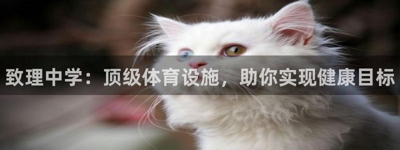 意昂体育3