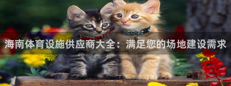 意昂3集团：海南体育设施供应商大全：满足您的场地建设