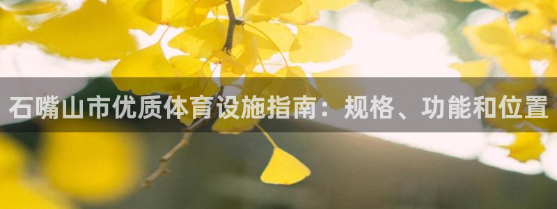 意昂体育3平台注册：石嘴山市优质体育设施指南：规格、
