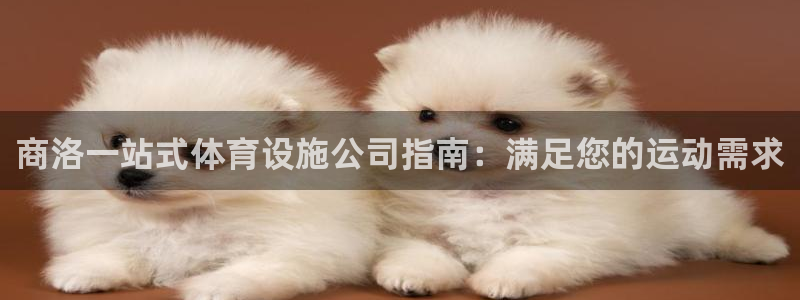 意昂3娱乐下载