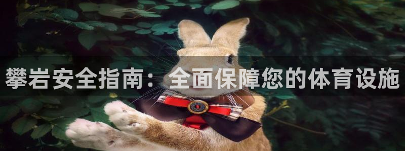 德国意昂3集团