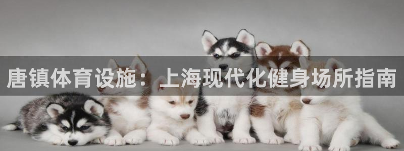 意昂3官网：唐镇体育设施：上海现代化健身场所指南